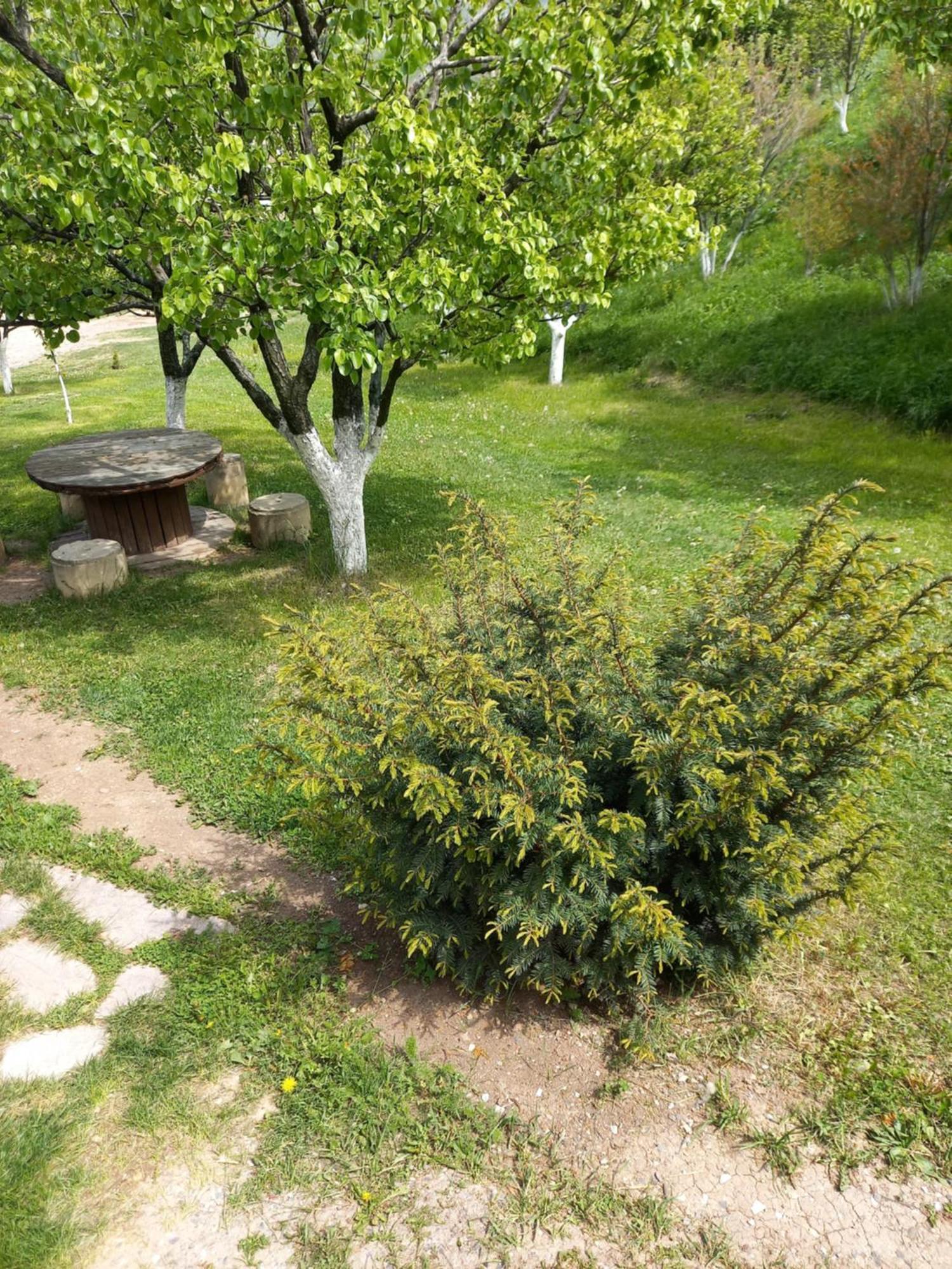 Guest House Ijevan'S Garden Luaran gambar