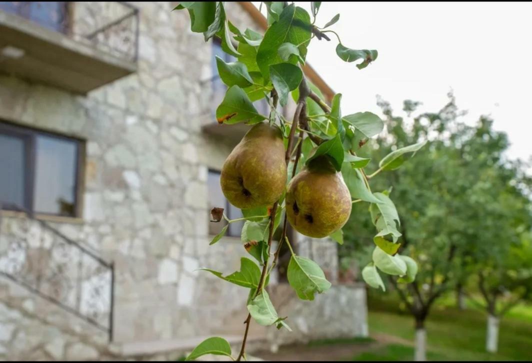 Guest House Ijevan'S Garden Luaran gambar